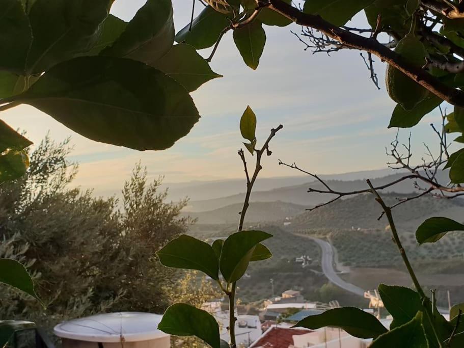 Mirador Del Olivar Ольвера Экстерьер фото