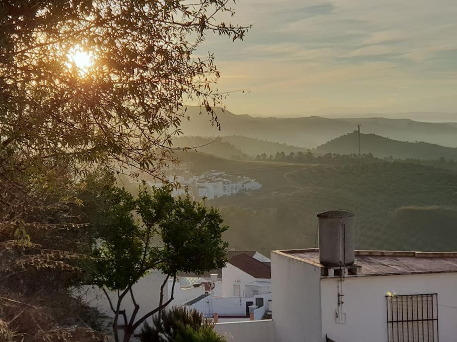 Mirador Del Olivar Ольвера Экстерьер фото